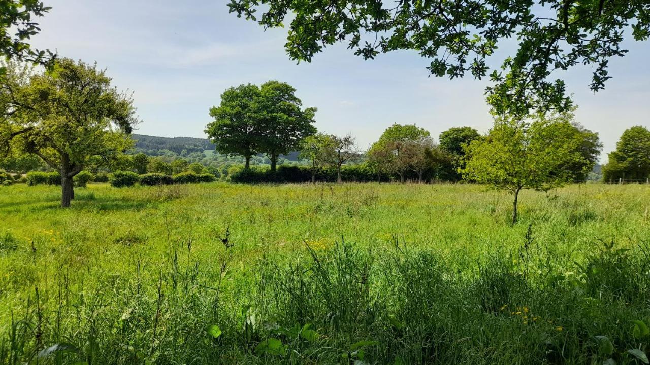 Gite Cottage Chaleureux En Pleine Campagne Vue Sur Les Monts Et Forets Et Le Chateau De Carrouges 외부 사진